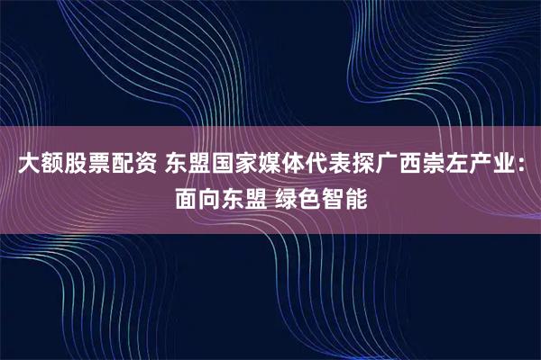 大额股票配资 东盟国家媒体代表探广西崇左产业：面向东盟 绿色智能
