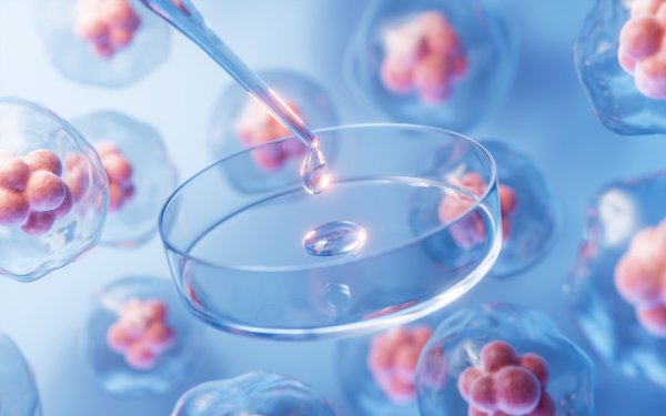 炒股配资官方网 欧莱雅与纳爱斯, 联手投了一家AI生物技术企业 | 融中投融资周报