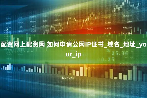 配资网上配资网 如何申请公网IP证书_域名_地址_your_ip